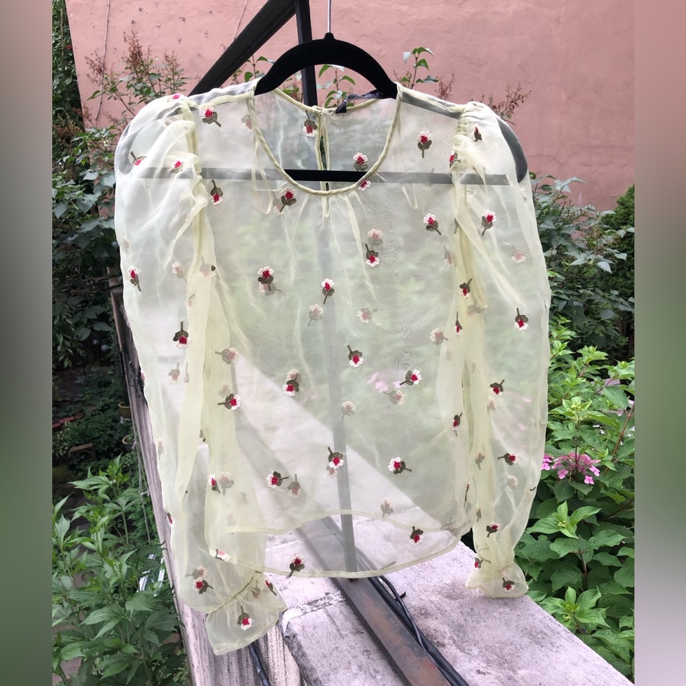 Zara Roses Green Sheer Top.